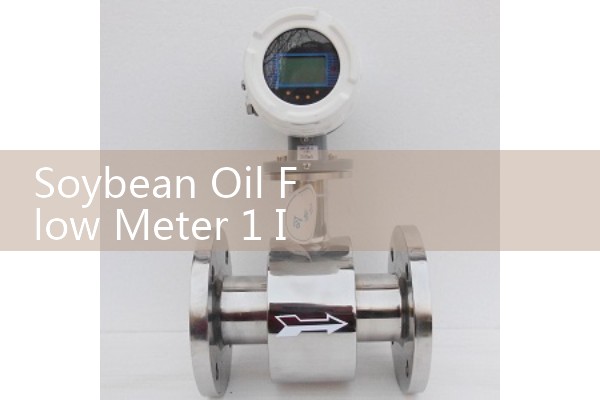 Soybean Oil Flow Meter 1 Inch: Compact Food-Grade Assembly Line Layouts